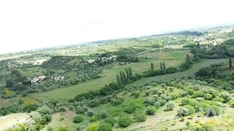 Terreno para Venda em Torres Novas (São Pedro), Lapas e Ribeira Branca