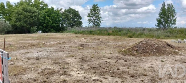 Terreno para Venda em Torres Novas (São Pedro), Lapas e Ribeira Branca