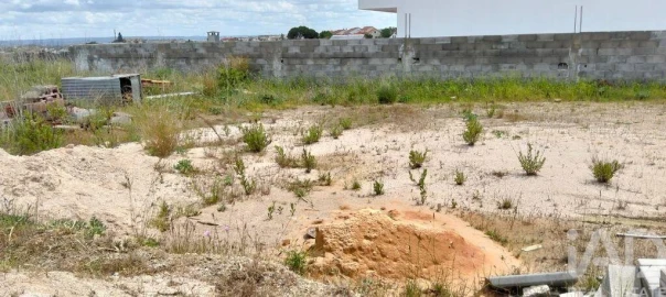 Terreno para Venda em Torres Novas (São Pedro), Lapas e Ribeira Branca