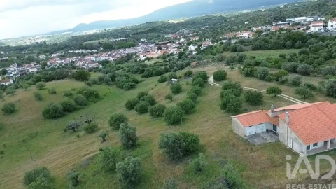 Terreno para Venda em Torres Novas (São Pedro), Lapas e Ribeira Branca