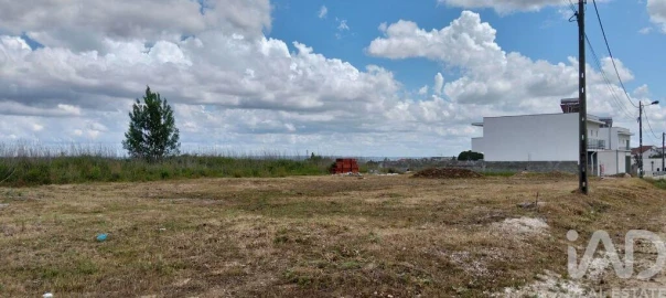Terreno para Venda em Torres Novas (São Pedro), Lapas e Ribeira Branca