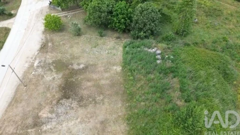 Terreno para Venda em Torres Novas (São Pedro), Lapas e Ribeira Branca