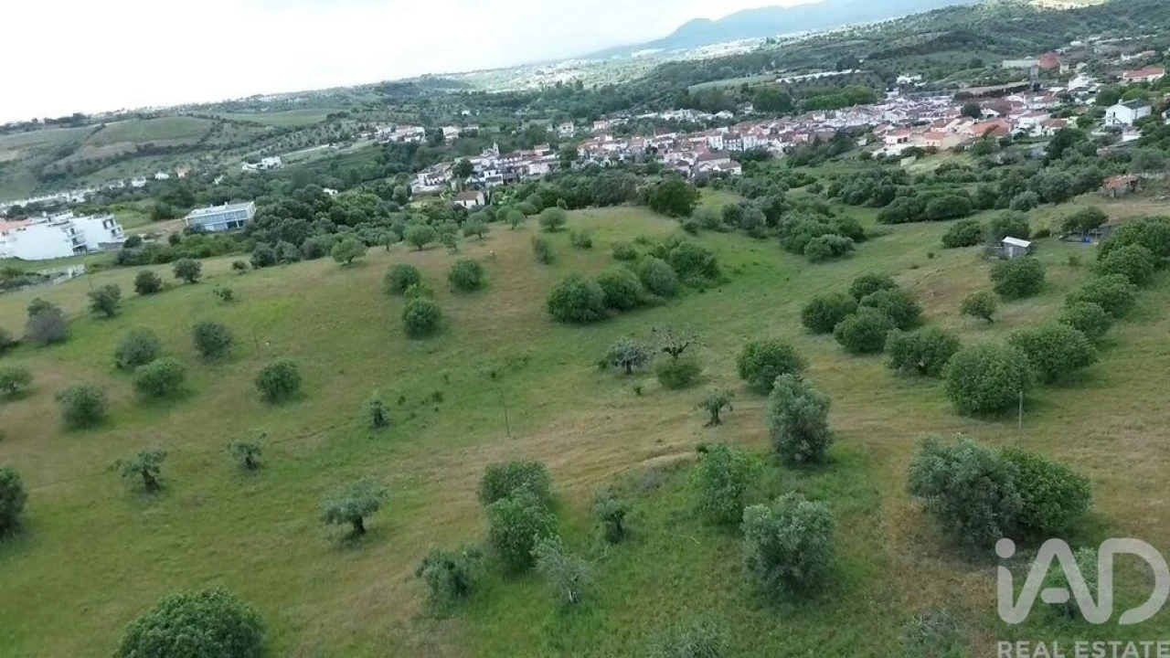 Terreno para Venda em Torres Novas (São Pedro), Lapas e Ribeira Branca Foto 29