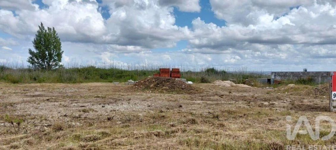 Terreno para Venda em Torres Novas (São Pedro), Lapas e Ribeira Branca Foto 19