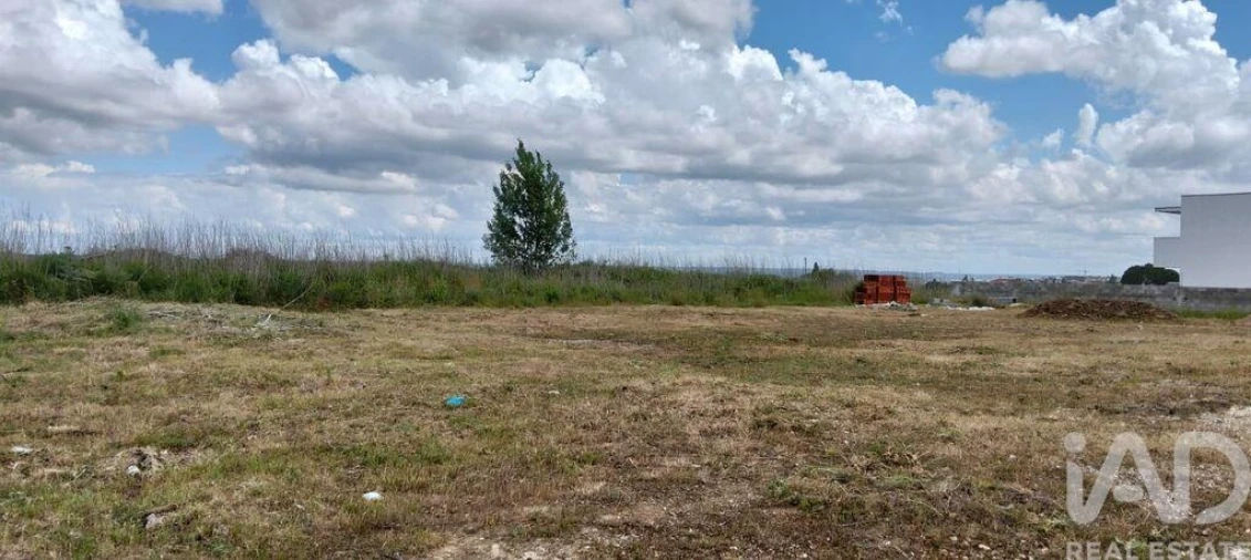 Terreno para Venda em Torres Novas (São Pedro), Lapas e Ribeira Branca Foto 18