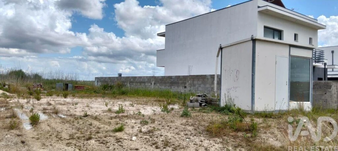 Terreno para Venda em Torres Novas (São Pedro), Lapas e Ribeira Branca Foto 9