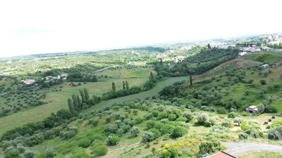 Terreno para Venda em Torres Novas (São Pedro), Lapas e Ribeira Branca Foto 34