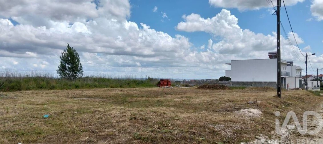 Terreno para Venda em Torres Novas (São Pedro), Lapas e Ribeira Branca Foto 13