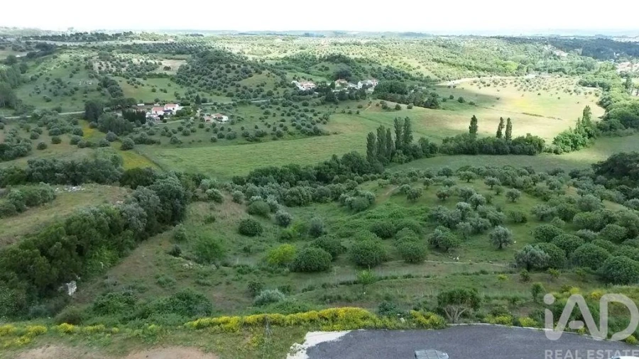 Terreno para Venda em Torres Novas (São Pedro), Lapas e Ribeira Branca Foto 40