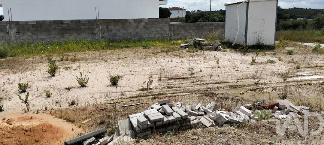 Terreno para Venda em Torres Novas (São Pedro), Lapas e Ribeira Branca Foto 8