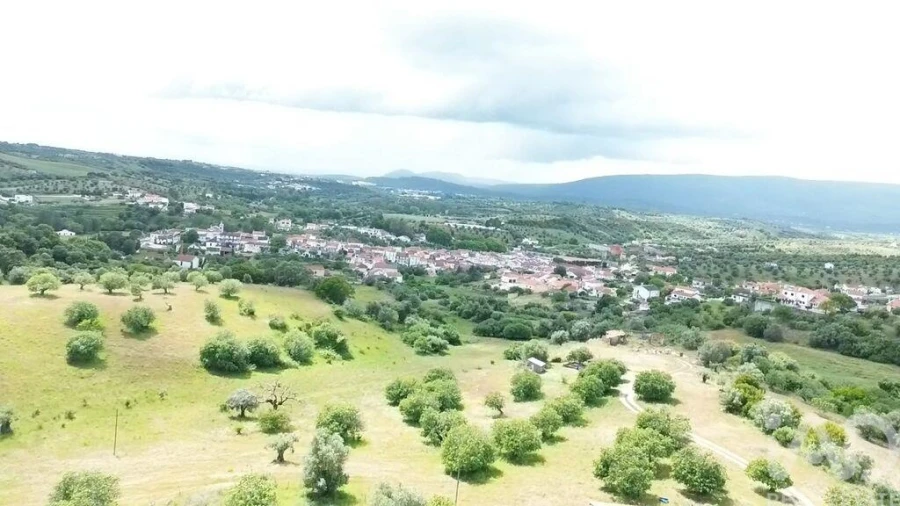 Terreno para Venda em Torres Novas (São Pedro), Lapas e Ribeira Branca Foto 21