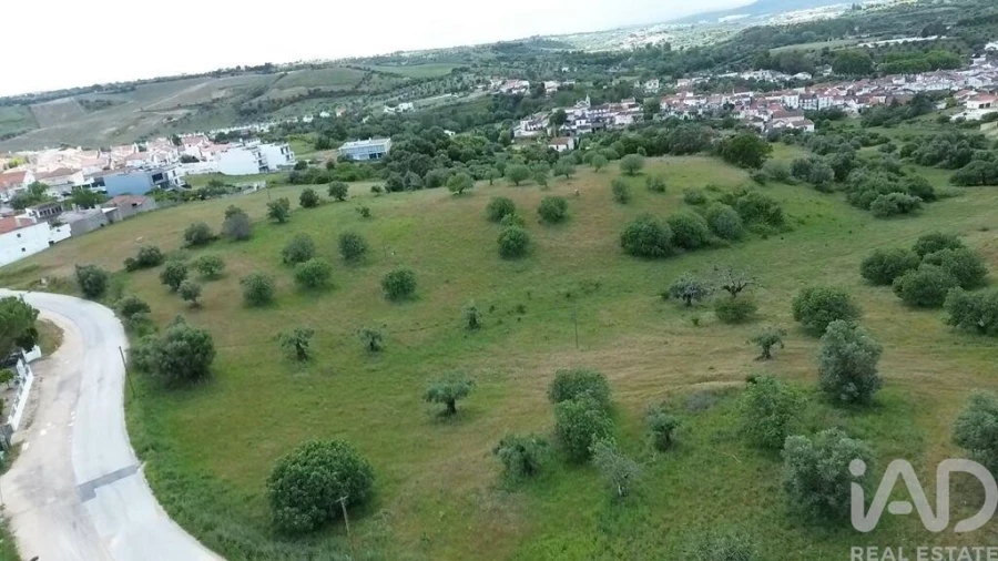 Terreno para Venda em Torres Novas (São Pedro), Lapas e Ribeira Branca Foto 28