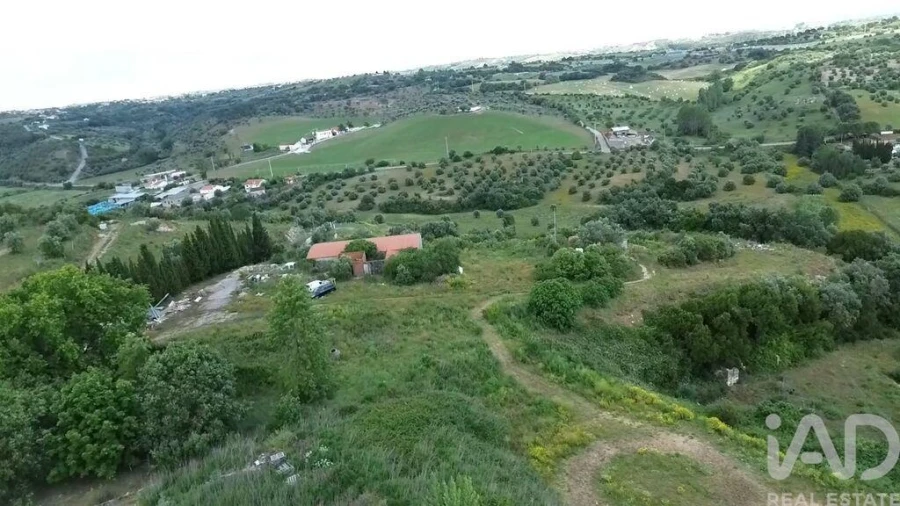 Terreno para Venda em Torres Novas (São Pedro), Lapas e Ribeira Branca Foto 31