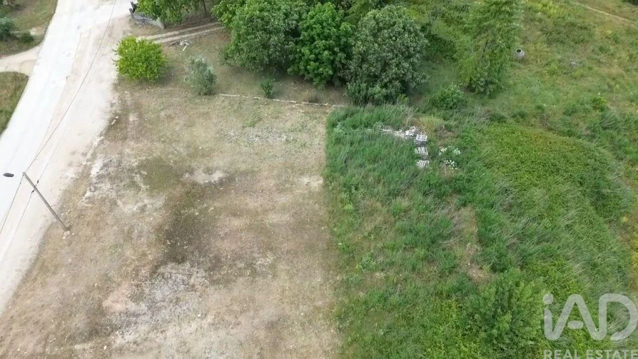 Terreno para Venda em Torres Novas (São Pedro), Lapas e Ribeira Branca Foto 15