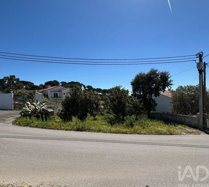 Terreno para Venda em Azambuja Foto 9