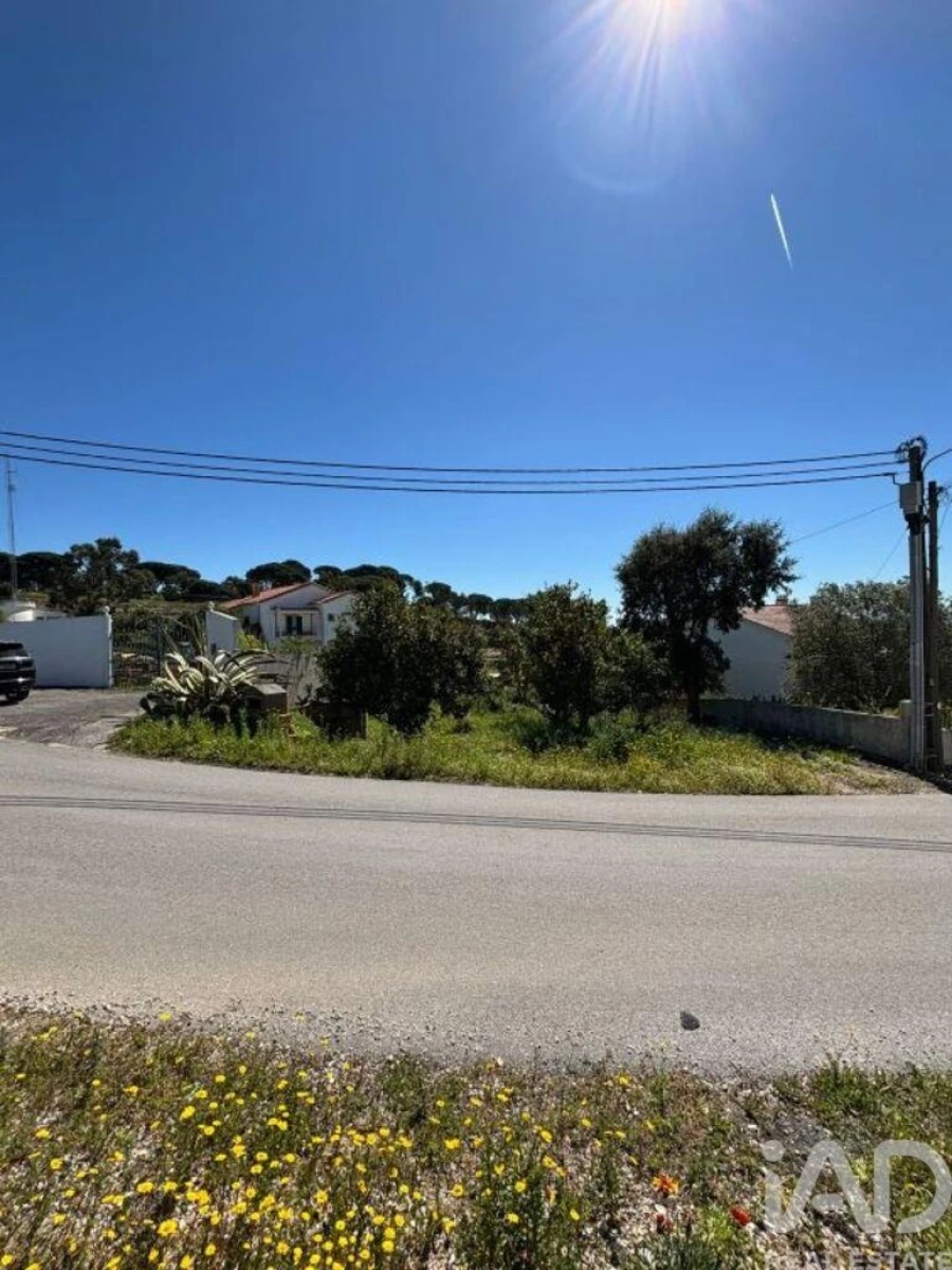 Terreno para Venda em Azambuja Foto 10