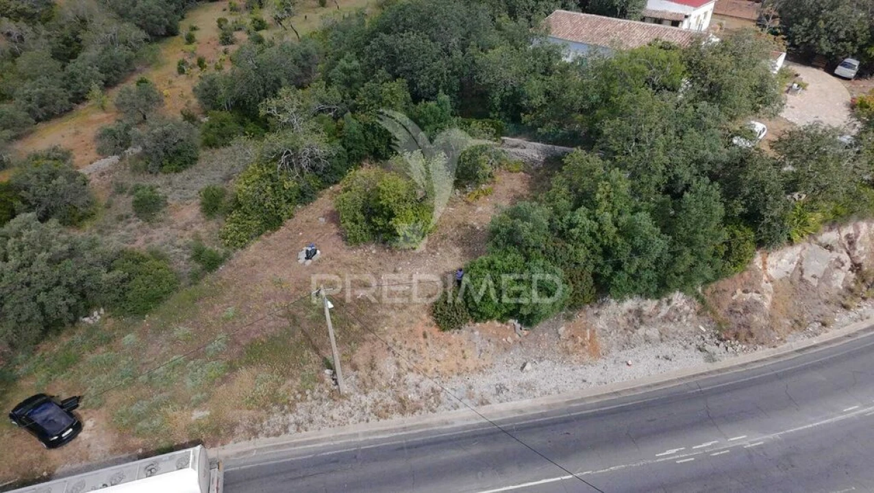 Terreno para Venda em São Brás de Alportel Foto 8