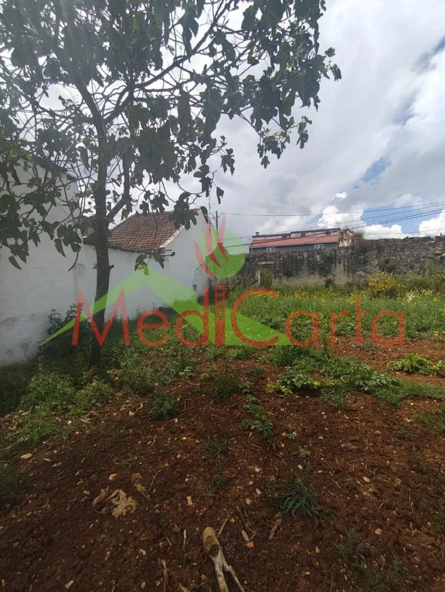 Terreno para Venda em Manique do Intendente, Vila Nova de São Pedro e Maçussa Foto 5