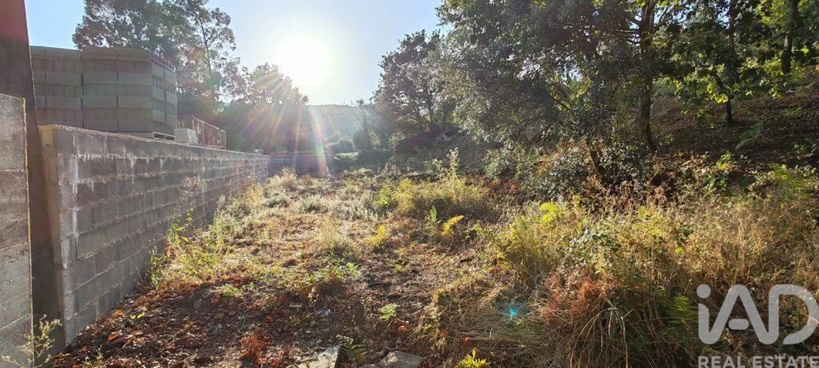 Terreno para Venda em Castanheira de Pêra e Coentral Foto 21