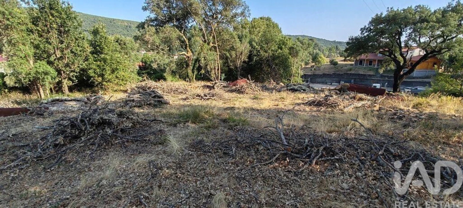Terreno para Venda em Castanheira de Pêra e Coentral Foto 8