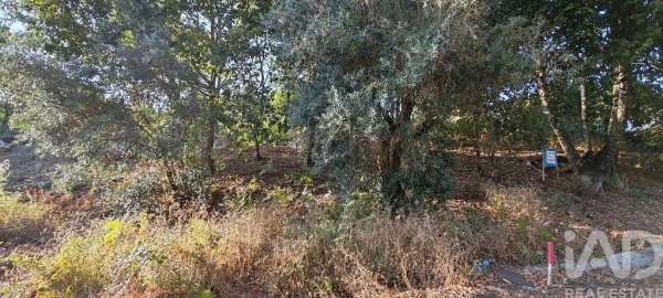 Terreno para Venda em Castanheira de Pêra e Coentral