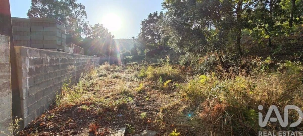 Terreno para Venda em Castanheira de Pêra e Coentral