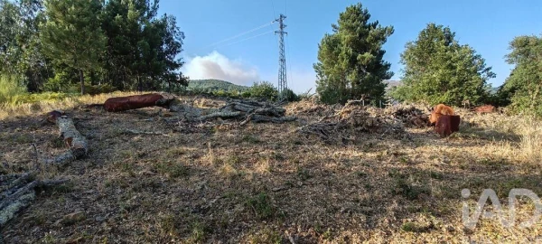 Terreno para Venda em Castanheira de Pêra e Coentral