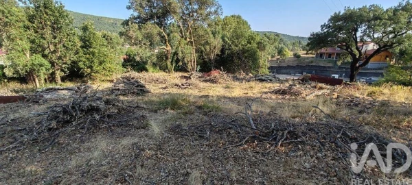 Terreno para Venda em Castanheira de Pêra e Coentral