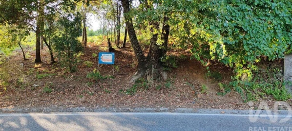 Terreno para Venda em Castanheira de Pêra e Coentral