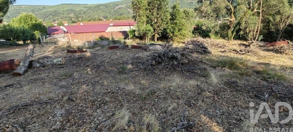 Terreno para Venda em Castanheira de Pêra e Coentral