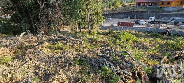 Terreno para Venda em Castanheira de Pêra e Coentral