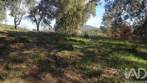 Terreno para Venda em Castanheira de Pêra e Coentral