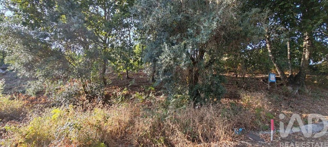 Terreno para Venda em Castanheira de Pêra e Coentral Foto 22