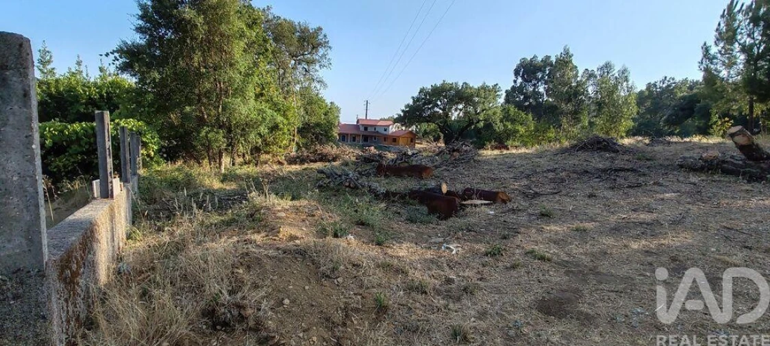 Terreno para Venda em Castanheira de Pêra e Coentral Foto 6