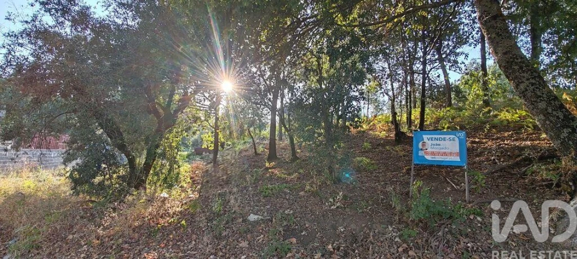 Terreno para Venda em Castanheira de Pêra e Coentral Foto 20