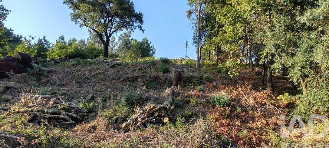Terreno para Venda em Castanheira de Pêra e Coentral Foto 17