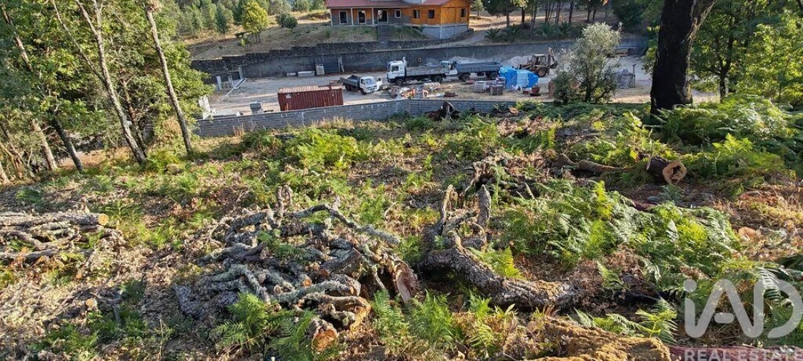 Terreno para Venda em Castanheira de Pêra e Coentral Foto 12