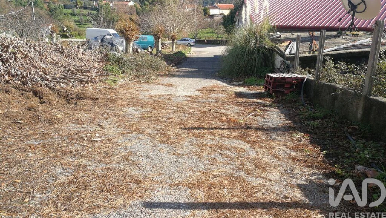 Terreno para Venda em Castanheira de Pêra e Coentral Foto 24
