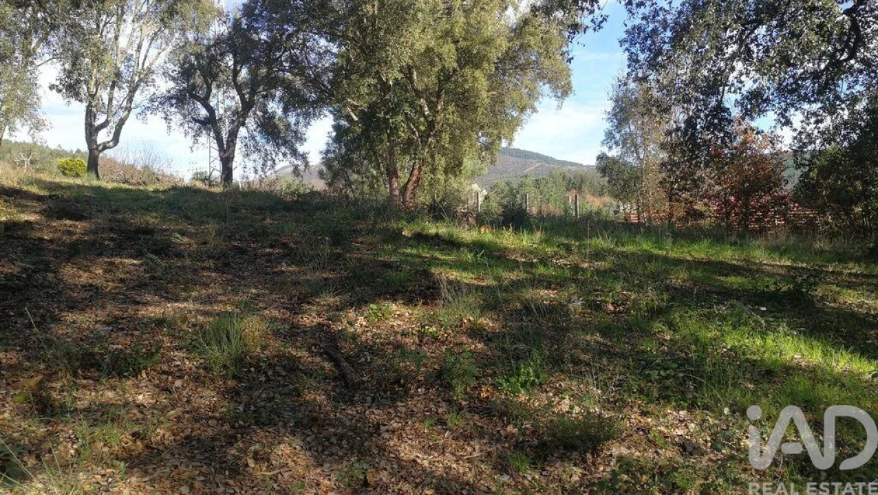 Terreno para Venda em Castanheira de Pêra e Coentral Foto 13