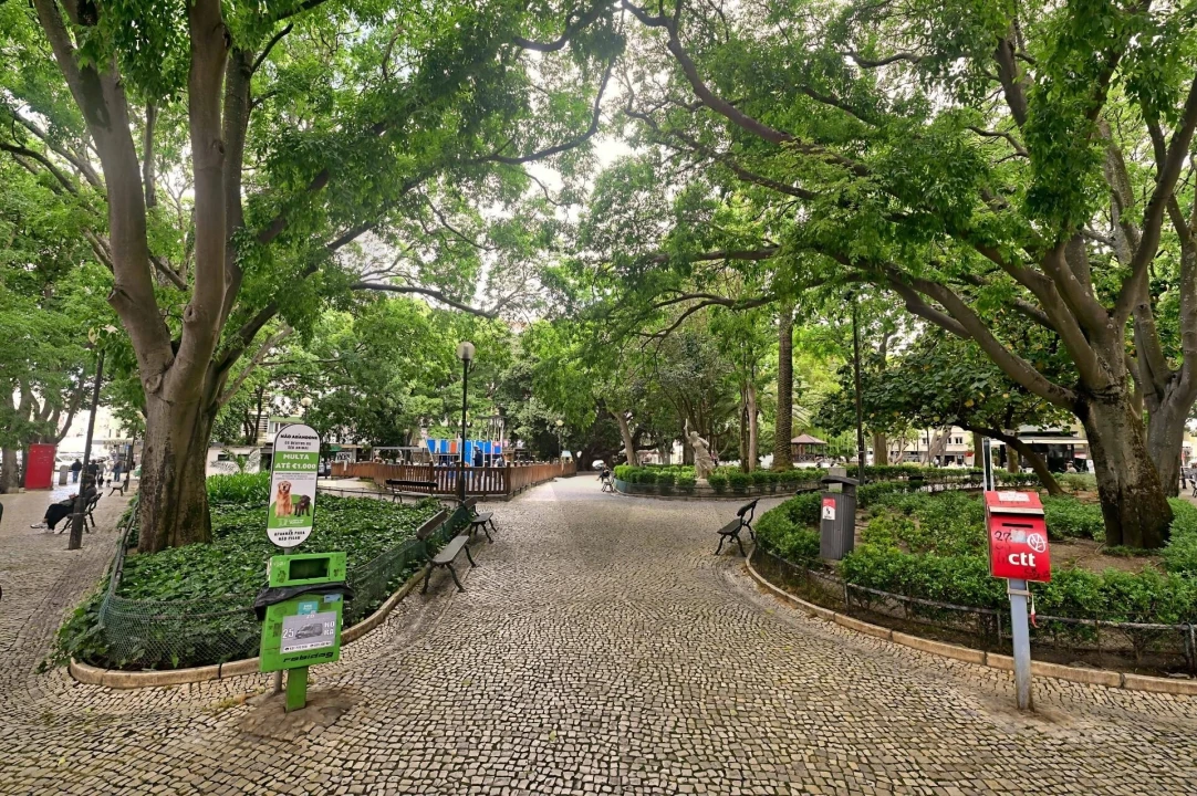 Apartamento T3 para Arrendamento em Campo de Ourique Foto 1