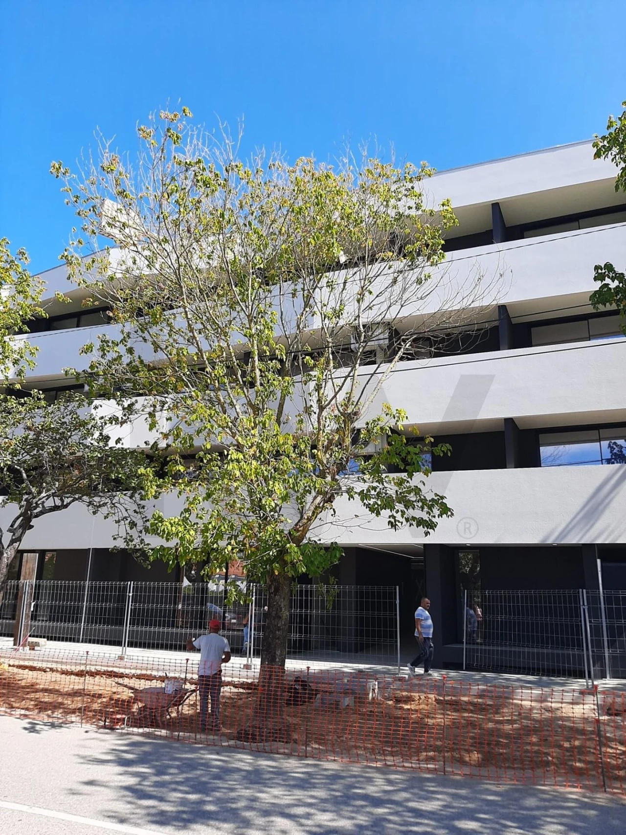 Apartamento T1 para Venda em Esgueira Foto 22