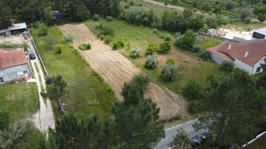 Terreno para Venda em Santa Clara e Castelo Viegas Foto 5