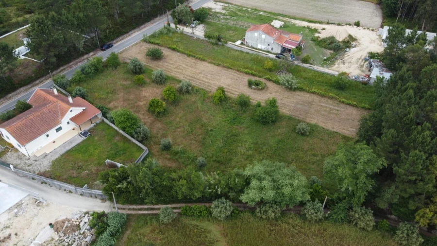 Terreno para Venda em Santa Clara e Castelo Viegas Foto 3