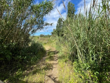 Terreno para Venda em Encarnação