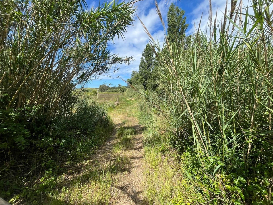 Terreno para Venda em Encarnação Foto 1