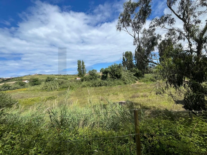 Terreno para Venda em Encarnação Foto 10