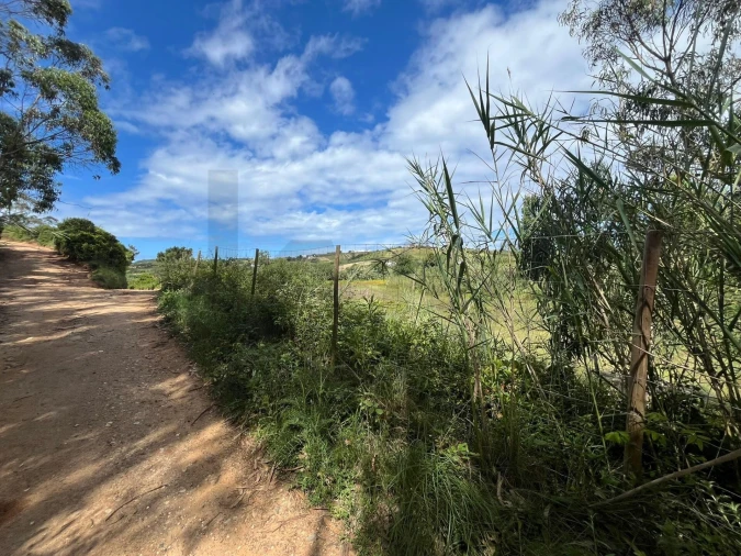 Terreno para Venda em Encarnação Foto 5
