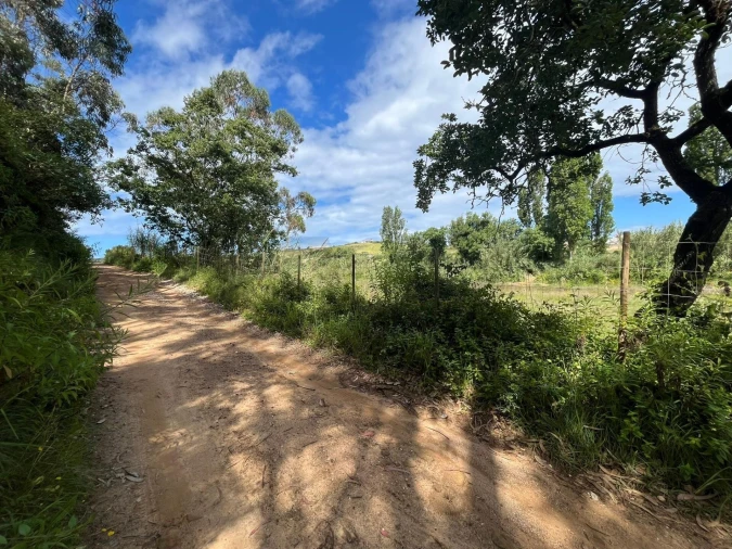 Terreno para Venda em Encarnação Foto 4