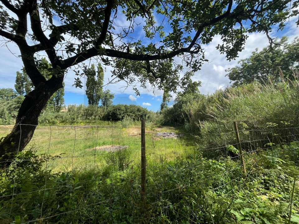 Terreno para Venda em Encarnação Foto 3
