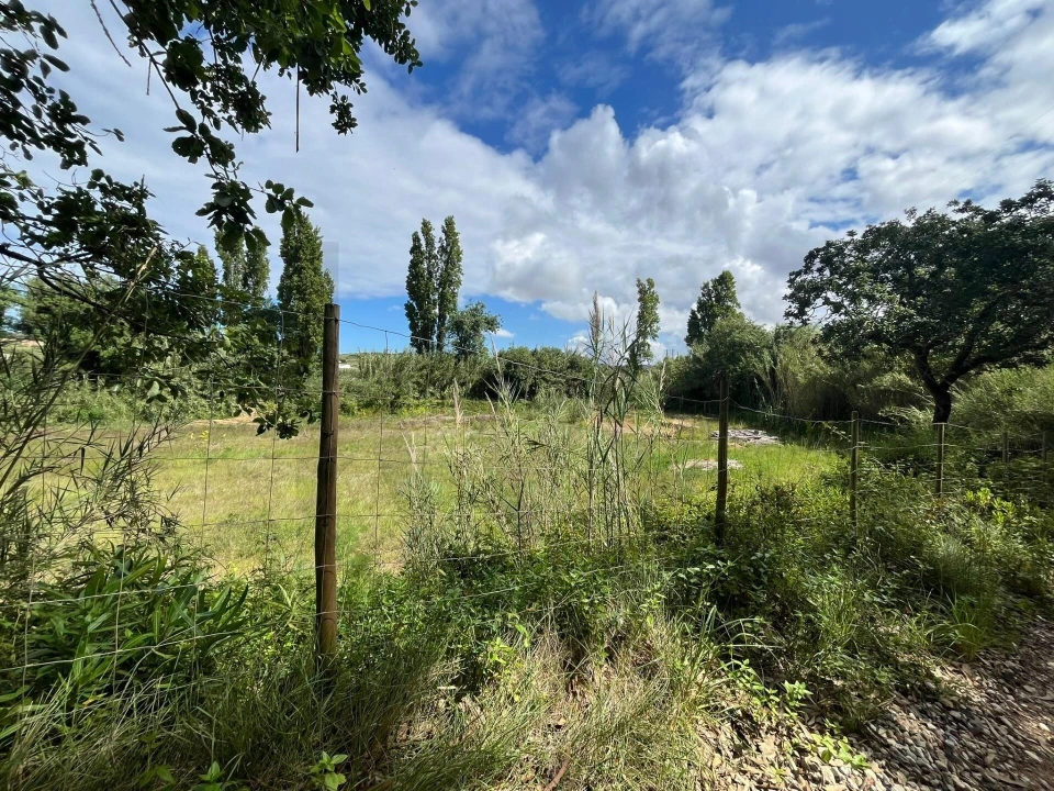 Terreno para Venda em Encarnação Foto 6